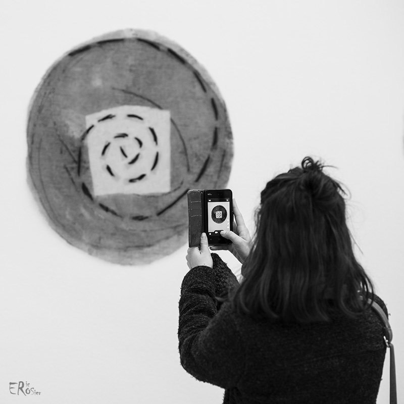 eric-rosier-musee-grenoble-art-contemporain-daniel-dezeuze-4483