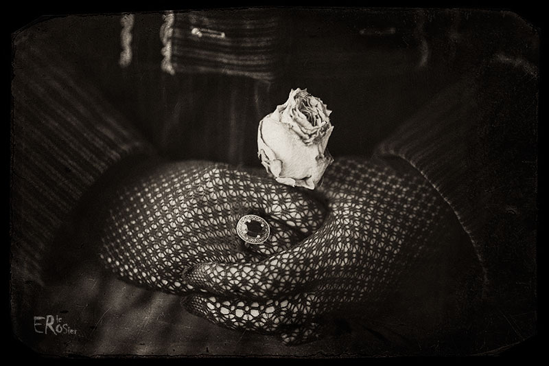 main-femme-1900-retro-rose-fanee