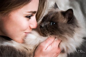 aurore-complicite-avec-son-chat-sacre-birmanie-siamois