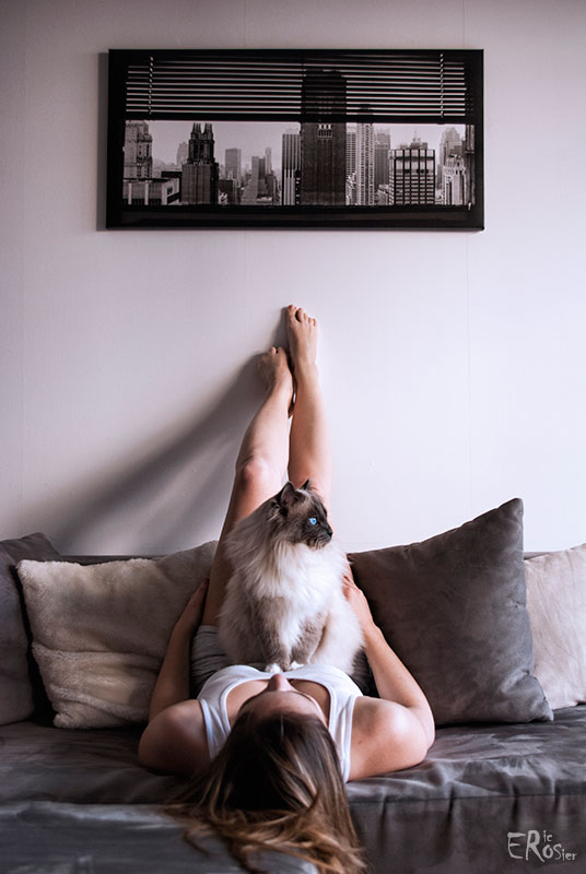 aurore-complicite-avec-son-chat-sacre-birmanie-siamois