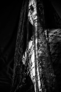 portrait-buste-nu-femme-voile-dentelle-noire