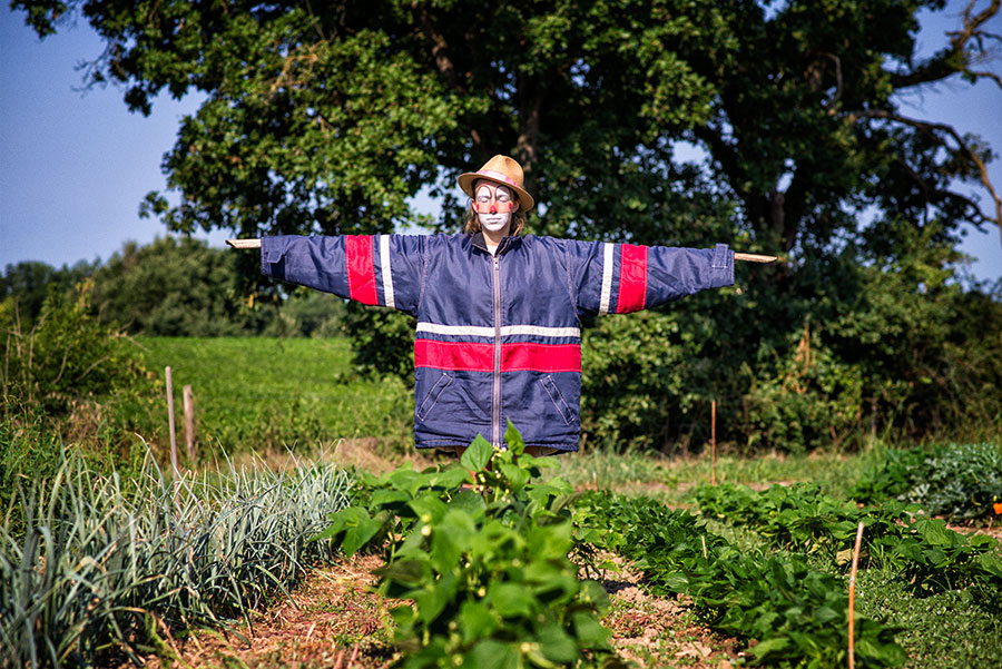 clown-potager-epouvantail